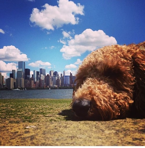 13. Ну ничего, с кем не бывает...