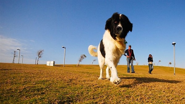 16. Здесь много пространства...