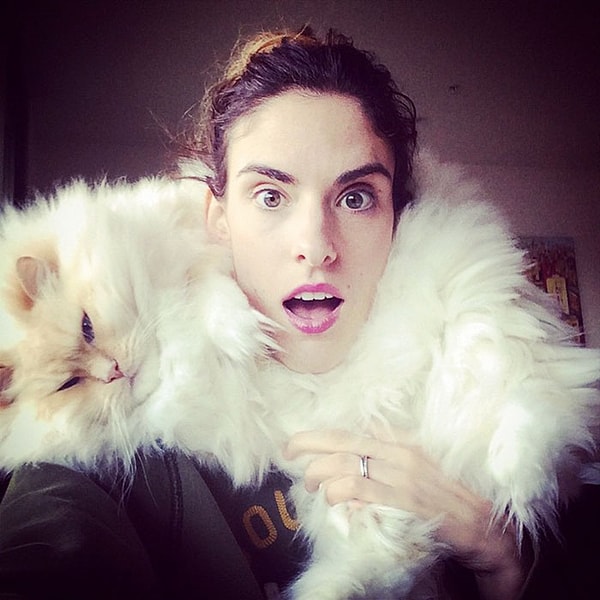 15. Хозяйка этого кота открыла для него профиль в Инстаграм.