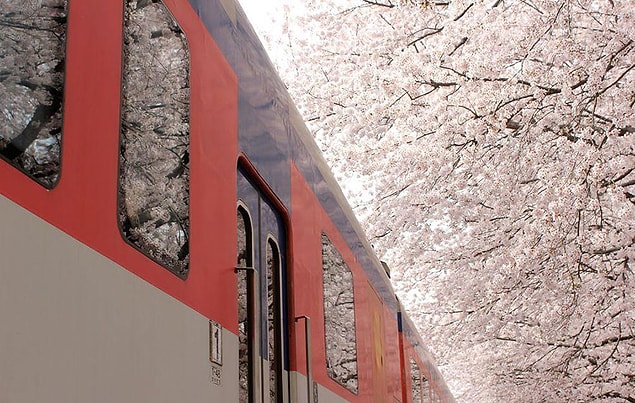 8. Bahar treni