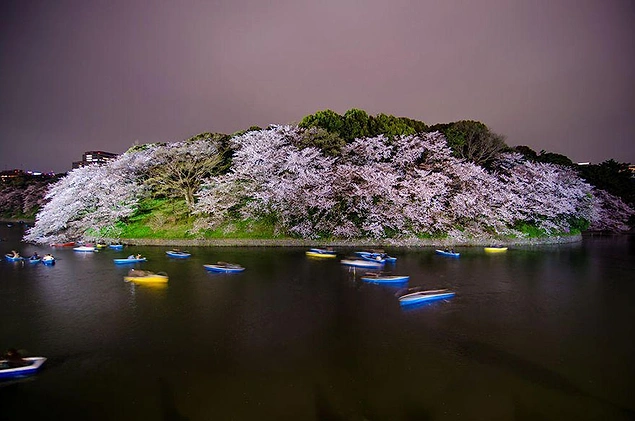 Chidorigafuchi