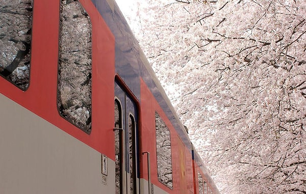 8. Весенний поезд