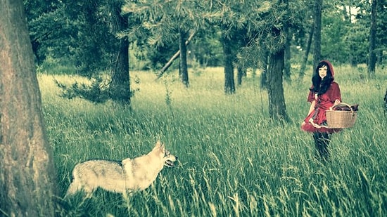 ABD'de Ulusal Silah Derneği, Masallara Silah Sokup Yeniden Yazdırdı