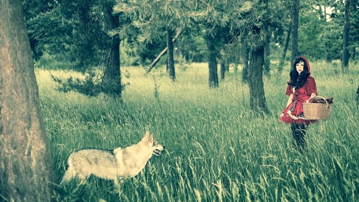 ABD'de Ulusal Silah Derneği, Masallara Silah Sokup Yeniden Yazdırdı