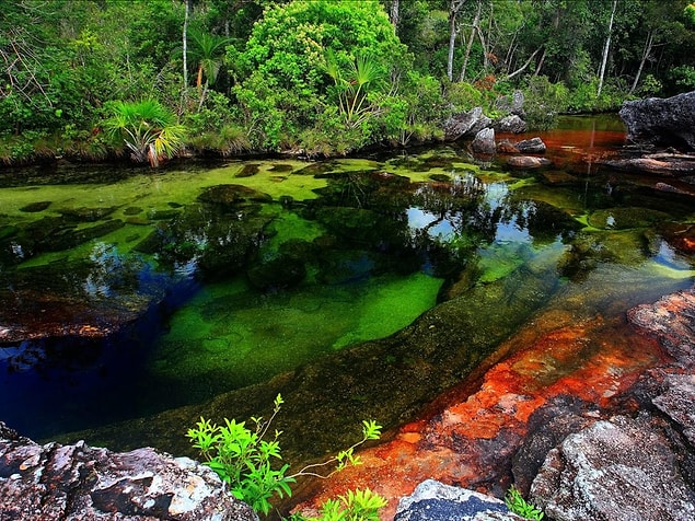 22. Kolombiya'da bulunan Caño Cristales, farklı hava koşulları altında kırmızı, mavi, sarı ve turuncu renklere bürünen bir su bitkisi ile kaplı. Yılın büyük bölümünde herhangi bir nehir gibi görünen Caño Cristales, Haziran'dan Aralık'a kadar bir gökkuşağını andırıyor.