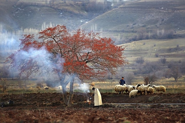 9. 2016 Yılın Basın Fotoğrafları Yarışmasında Ödül Kazanan 25 Fotoğraf