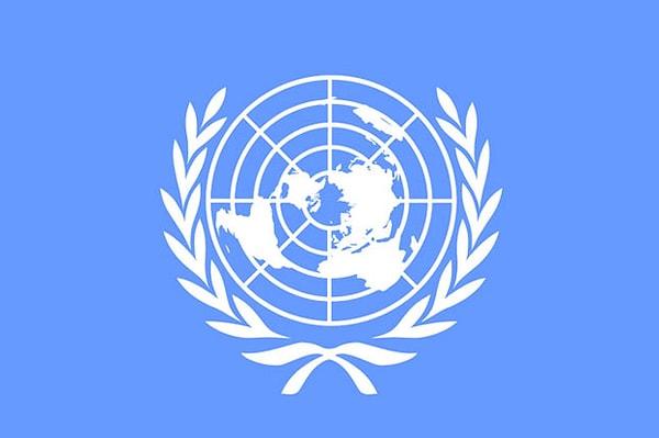 3. Gerçek Dünya haritası Birleşmiş Milletler logosundaki haritadır.