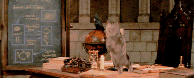 s-c7b6a0a6a05d680902c675e01554e867cf96190c.gif