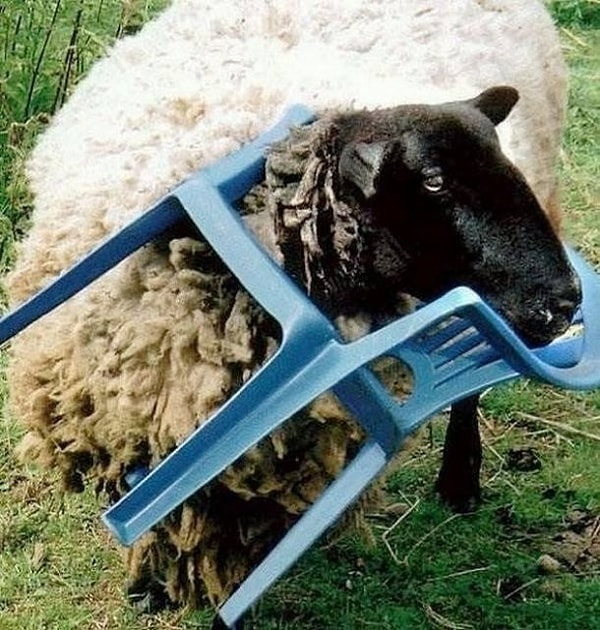 8. Все свое ношу с собой