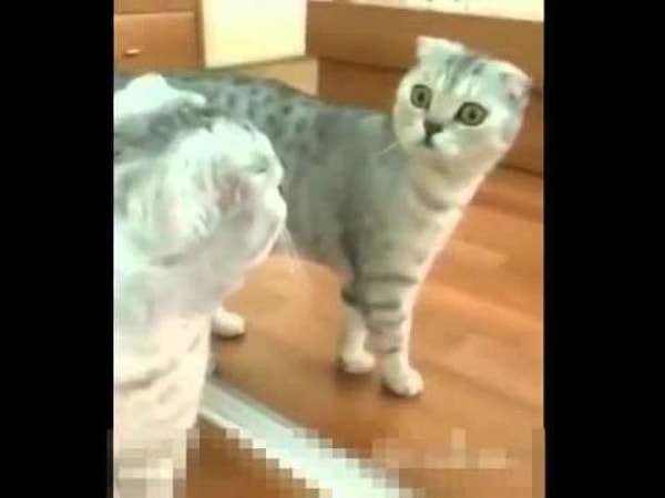 16. Они могут шокировать тебя в самые неожиданные моменты