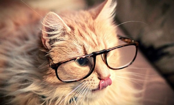 23. Они всегда на шаг впереди