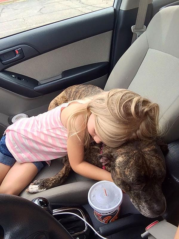 4. Bu küçük kızın köpeğine iğne yapılması gerekiyormuş.