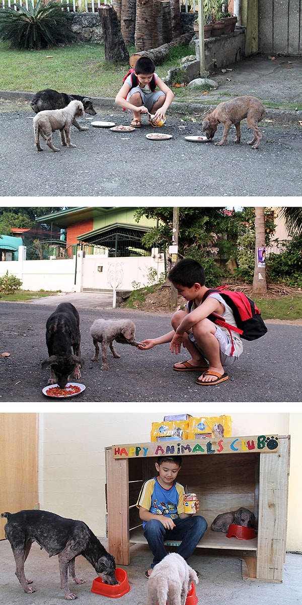 8. 9-летний мальчик ухаживает за животными в своем гараже.