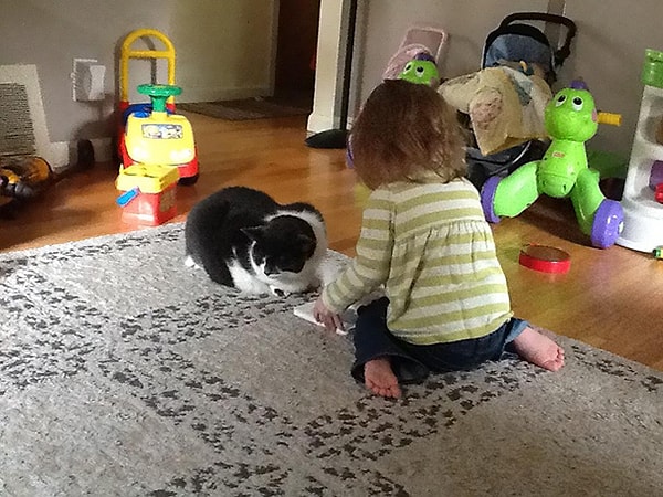 11. Девочка читает книжку болеющей кошке.