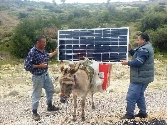 16. Güneş enerjisiyle çalışan ilk eşek