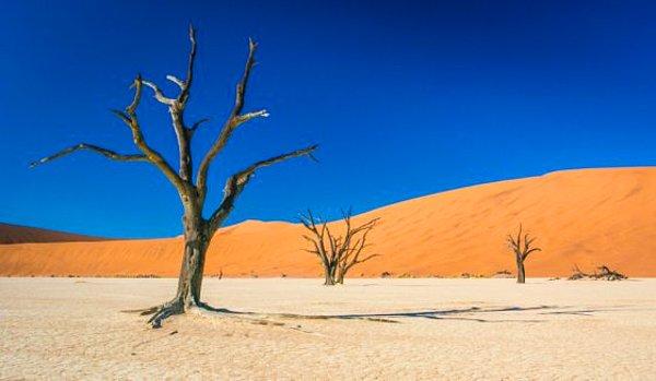 5. Ölü ağaçlar ölü Vlei, Namib çölü