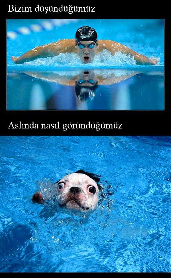 10. Köpek yüzüşü yapayım derken