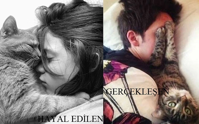 Kediyle birlikte uyumak