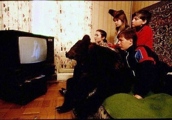 13. Обычный семейный вечер