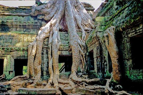 6. Angkor Wat, Kamboçya