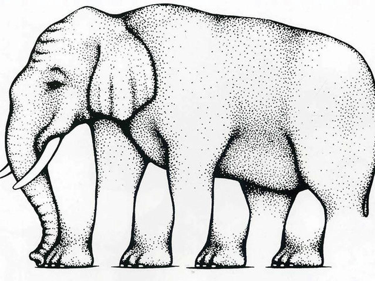 Видит три ноги. Иллюзия со слоном. Оптическая иллюзия слон. Оптические иллюзии картинки. Рисунки обман зрения.