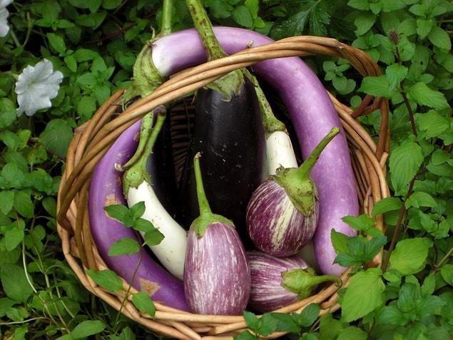 3. Know and love yourself! Eggplants have many different shapes, colors and looks!