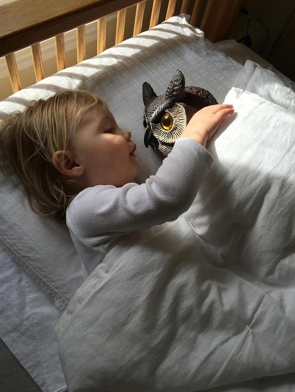 5. Она берет ее куда угодно: в машину, в магазин и даже в кровать.