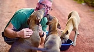 Günde 80 Sokak Köpeği Besleyerek İnsanlığa Olan İnancımızı Yükselten Adam