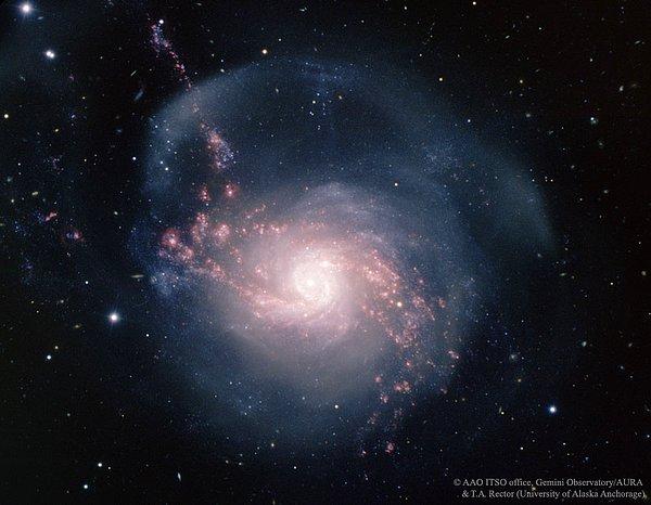 1. NGC 3310 : Yıldızlarla Dolup Taşan Bir Sarmal Gökada