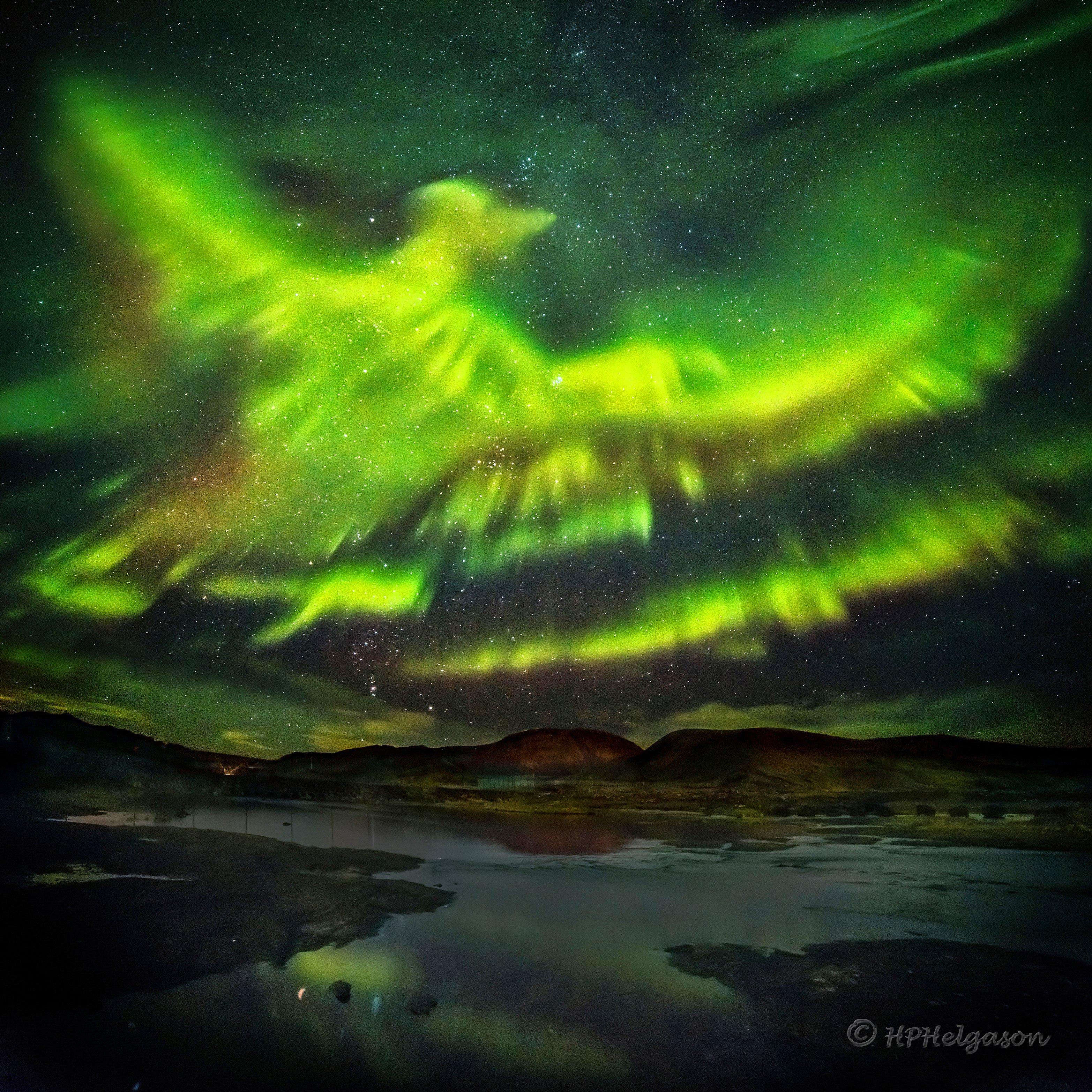 14. İzlanda üzerinde Anka Kuşu biçimindeki kutup ışıkları.