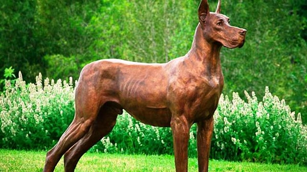 12. Немецкий Дог