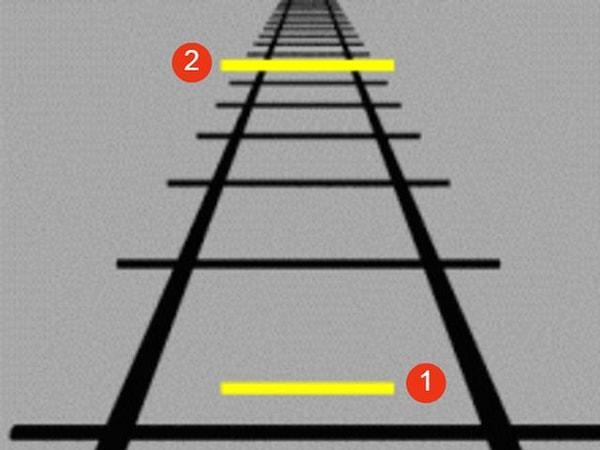 3. Hangi sarı çizgi daha uzundur?