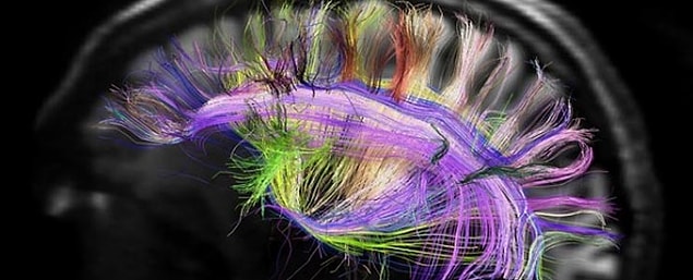 Epilepsi hastalarına uygulanan müdahaleler düşünüldüğünde, bu fikir mantıklıydı da.