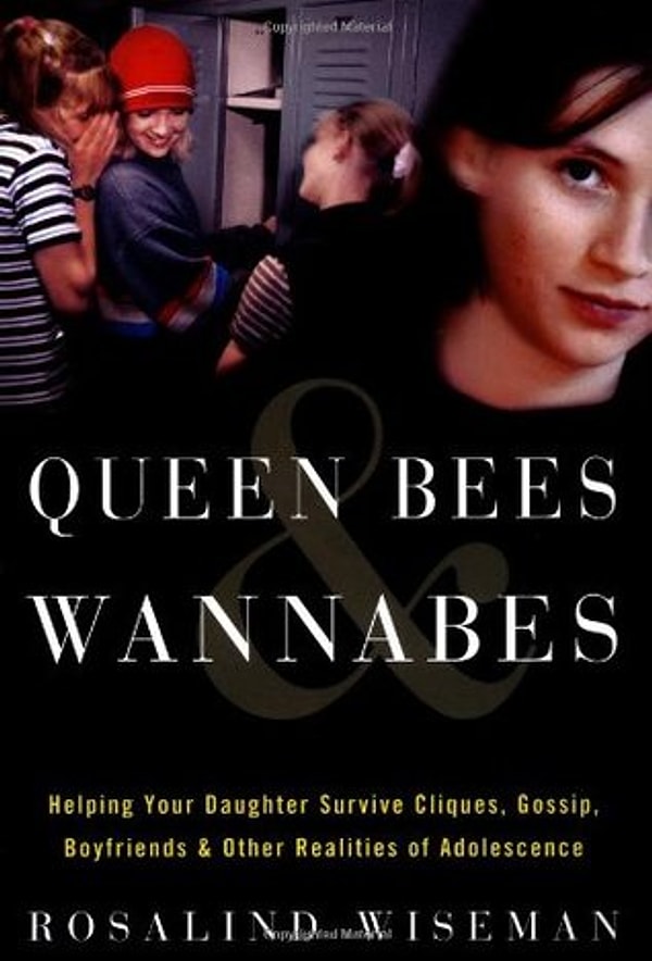 6. Фильм: Дрянные девчонки/ Книга: Queen Bees and Wannabes