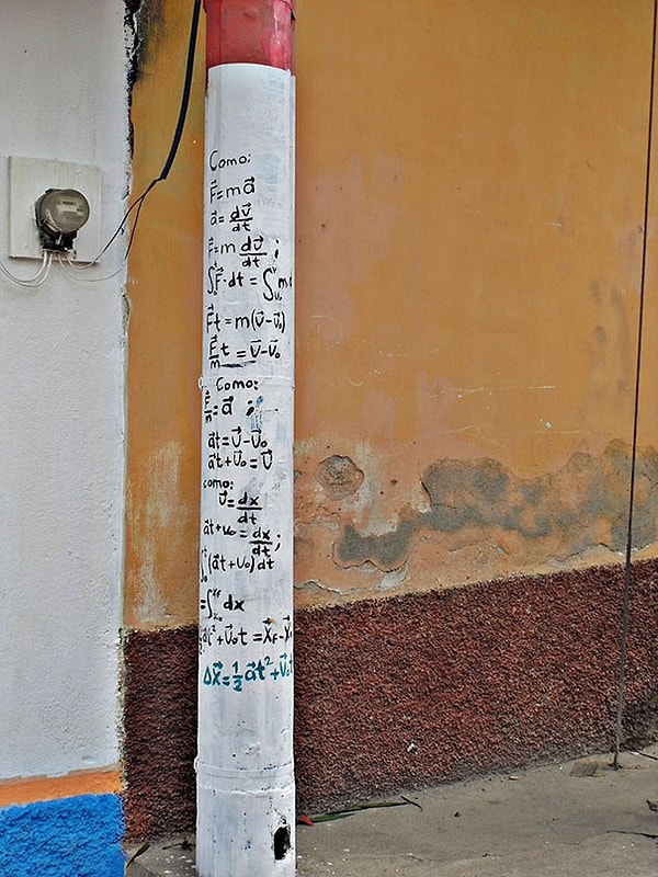 7. Вид из окна универа 😎