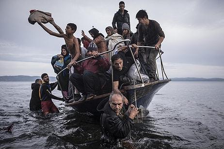 Pulitzer Ödülleri'ne Mülteci Damgası