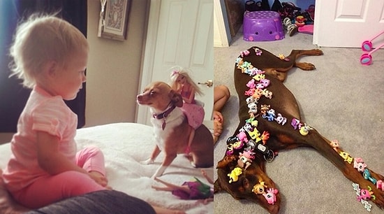 Şekilden Şekile Girerek Sabır Taşının da Taşına Dönmüş 17 Dünya Tatlısı Köpek