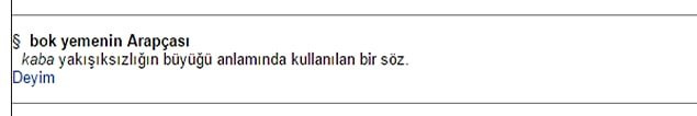 Arapça çok kaba, sizinki acayip kibar yani?