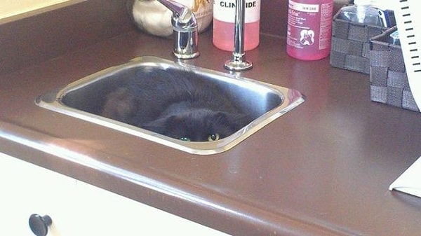 2. "Тут меня точно никто не найдет..."