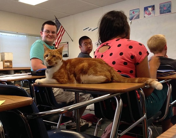 7. У него даже есть своя парта.