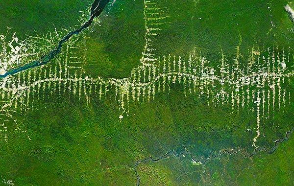 18. Amazon Ormanlarının Tahribi – Brazil 5°40′S 52°44′W