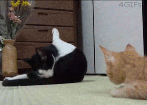 "Mezun olunca ne yapacaksın, bir planın var mı?" sorusundan hepimize gına gelir.