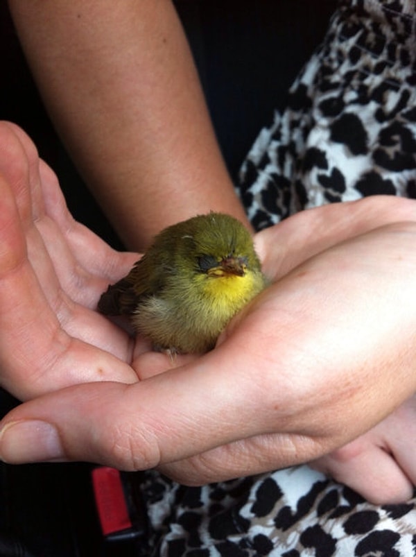 5. "Я самый обаятельный и привлекательный"