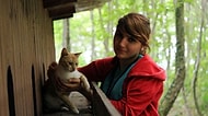 Tüm Minnoşseverlerin İçinde Yaşamak İsteyeceği Yer: Samsun'daki Şirin Kedi Kasabası