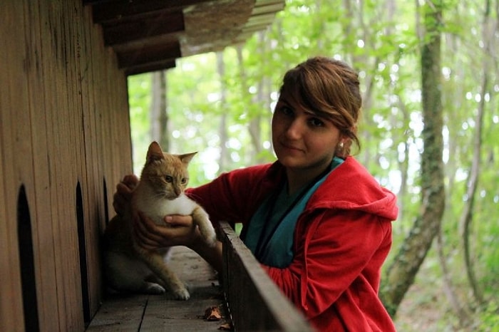 Tüm Minnoşseverlerin İçinde Yaşamak İsteyeceği Yer: Samsun'daki Şirin Kedi Kasabası