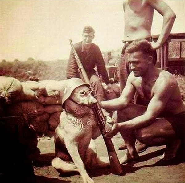 27. Немецкие солдаты нарядили собаку для фото (1940 г.)