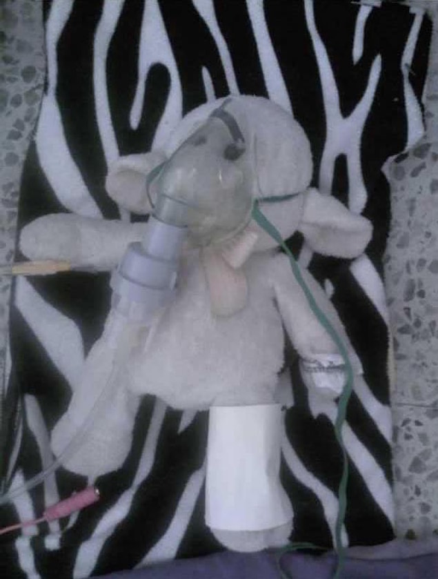 7. Oxygen boost for her little sheep that's going through a hard time.