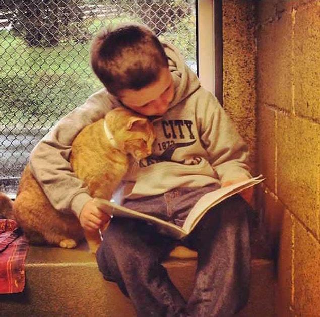 10. This boy is reading to a cat he's visiting in the shelter...