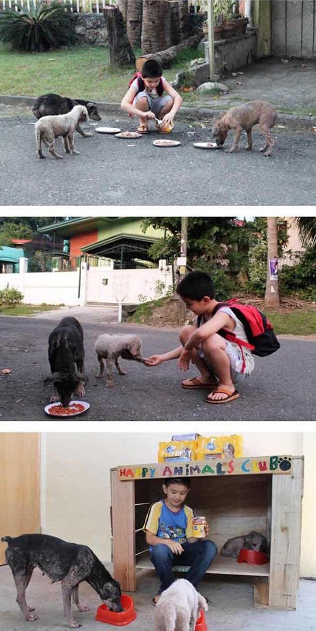 23. This 9 year old started taking care of dogs in need after building a shelter for them.