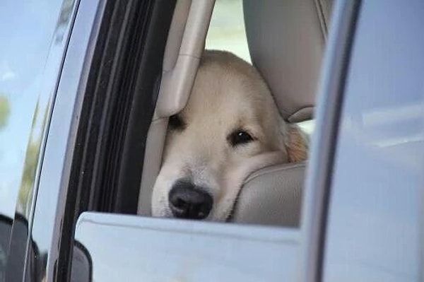 7. А уж если ты увидишь на улице реальную парочку, то обязательно вздохнешь и начнешь жалеть себя